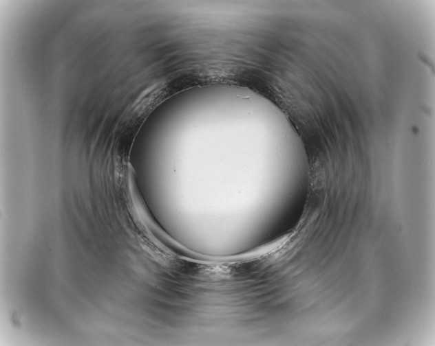 X0000098090140200804181245