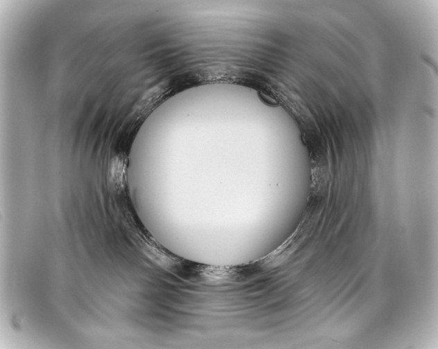 X0000098090142200804181245