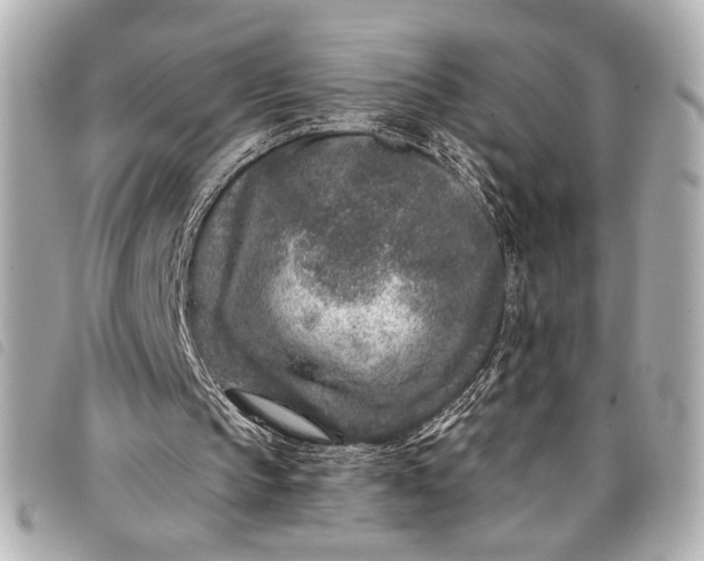 X0000098090145200804181244
