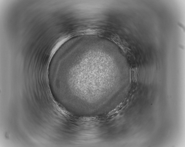 X0000098090147200804181245
