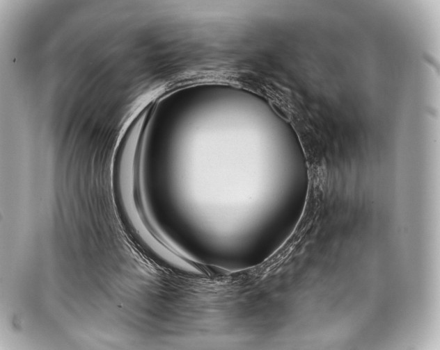X0000098090148200804181245