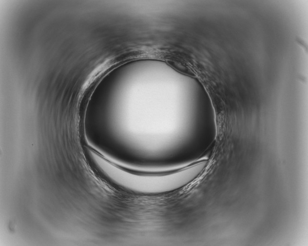 X0000098090150200804181245