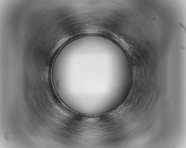 X0000098090155200804181245