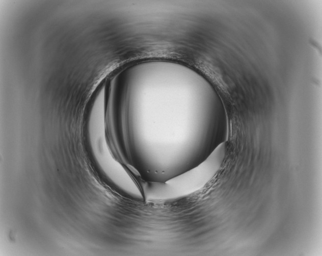 X0000098090156200804181245