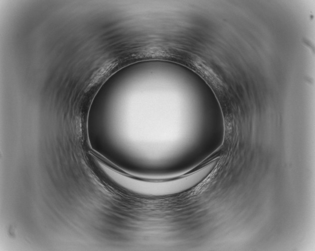 X0000098090158200804181245