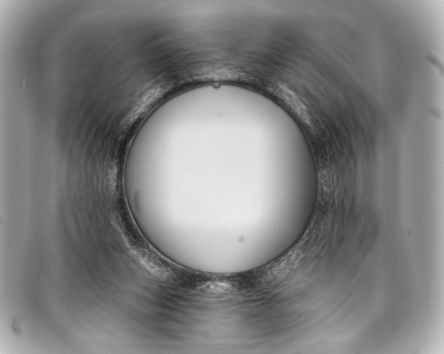 X0000098090159200804181245