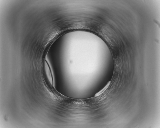 X0000098090160200804181245