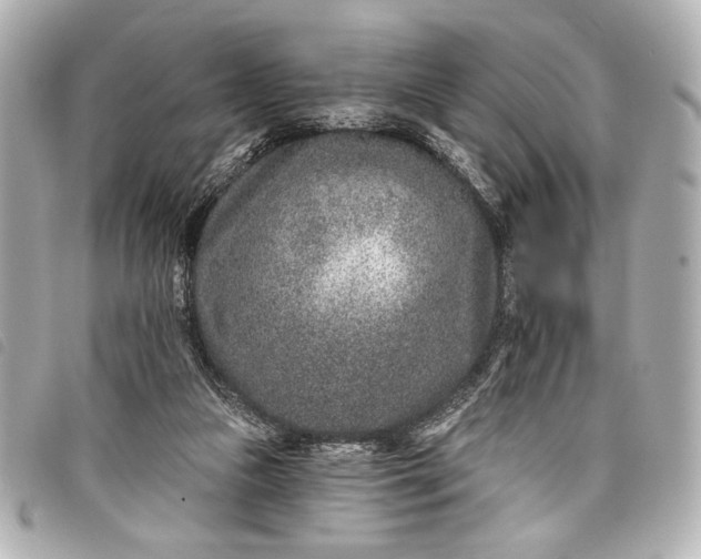 X0000098090161200804181245
