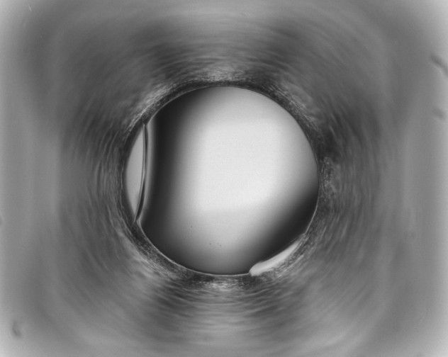 X0000098090164200804181245