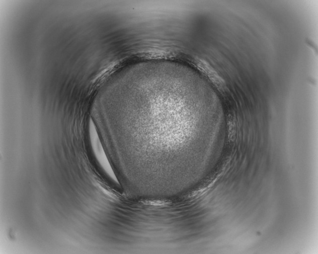 X0000098090165200804181245