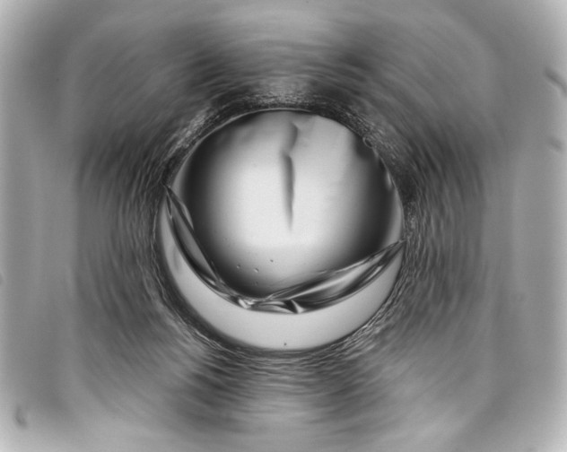 X0000098090168200804181245