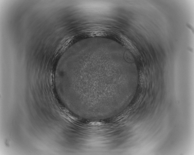 X0000098090169200804181245