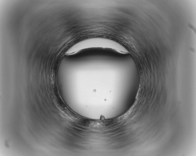 X0000098090174200804181245