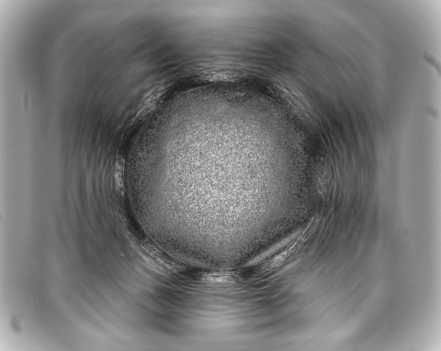 X0000098090175200804181245
