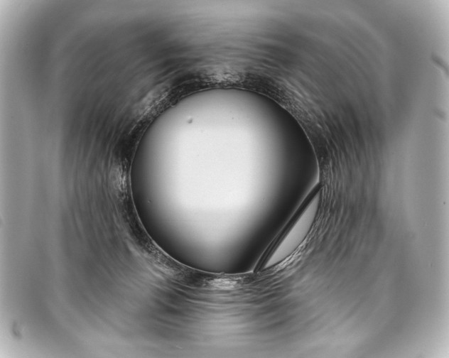 X0000098090176200804181245