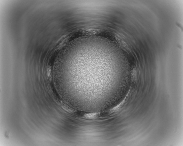 X0000098090178200804181245