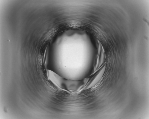 X0000098090180200804181245