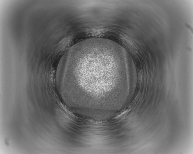 X0000098090181200804181245