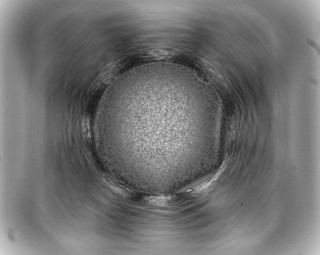 X0000098090182200804181245
