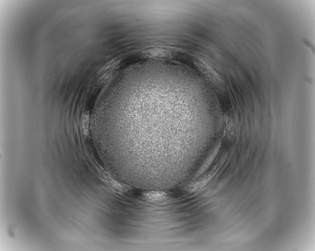 X0000098090189200804181245