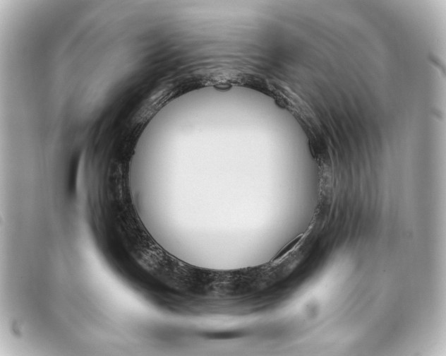 X0000098090191200804181245