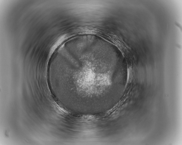 X0000098090195200804181244