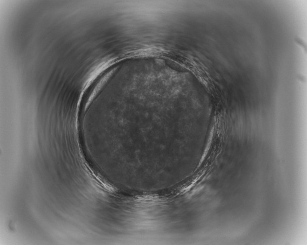 X0000098090196200804181244