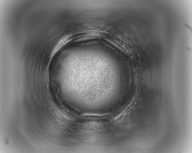 X0000098090198200804181244