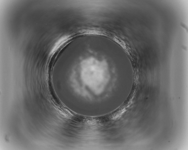 X0000098090199200804181244