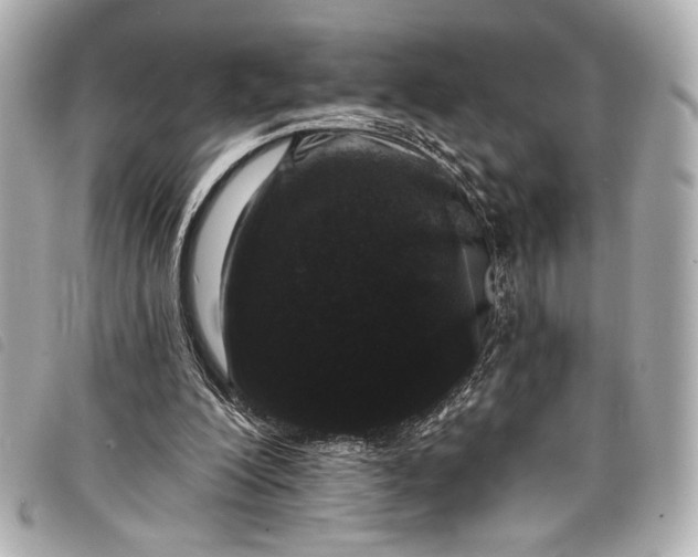 X0000098090200200804181244
