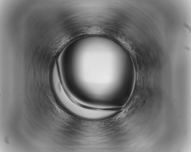 X0000098090201200804181244