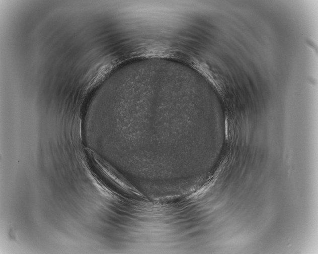 X0000098090205200804181244