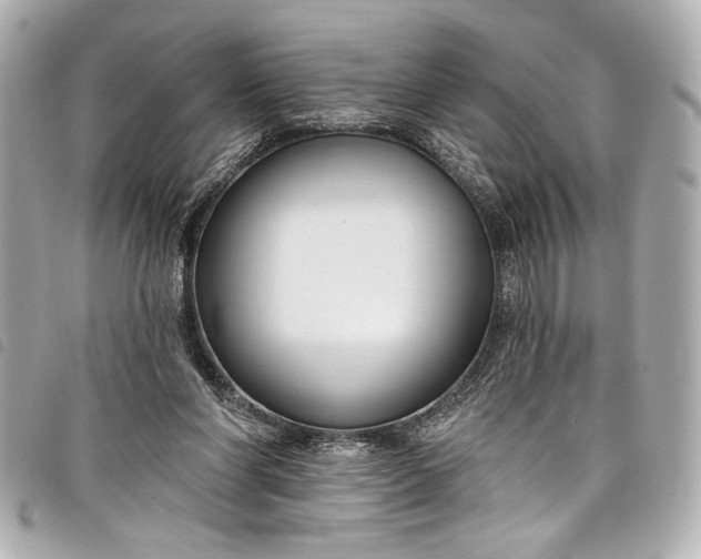 X0000098090206200804181244