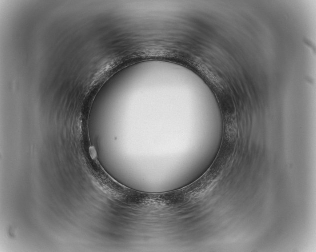 X0000098090207200804181244