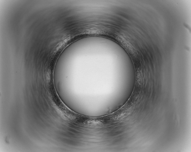 X0000098090208200804181244