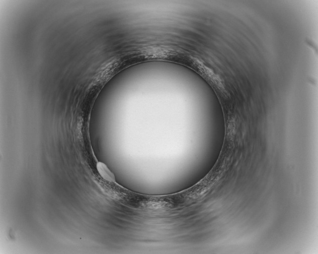 X0000098090209200804181244