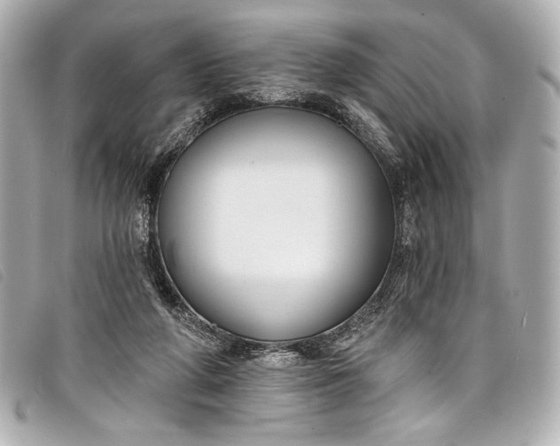 X0000098090210200804181244
