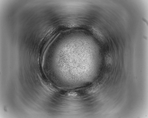 X0000098090214200804181244