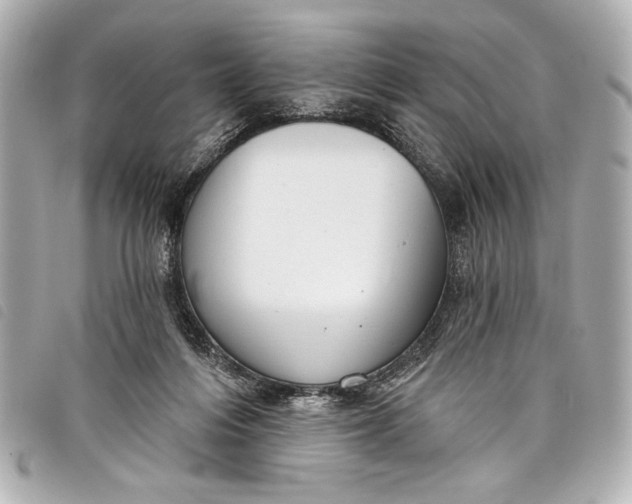 X0000098090216200804181244