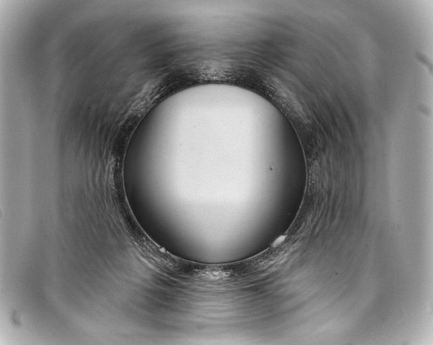 X0000098090217200804181244