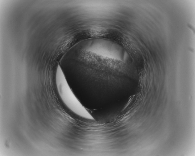 X0000098090219200804181244