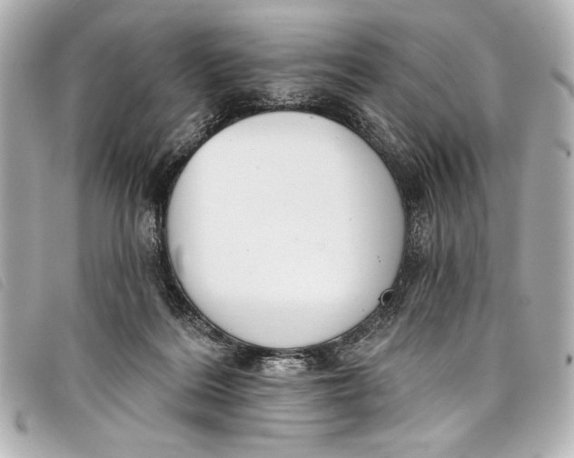 X0000098090220200804181244