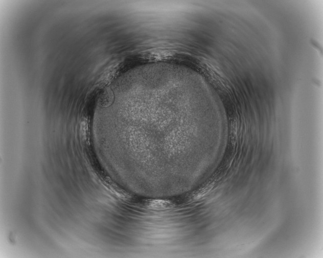 X0000098090222200804181244