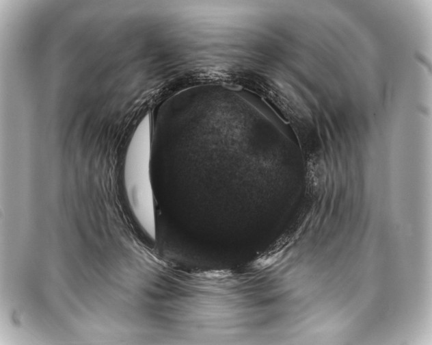 X0000098090223200804181244