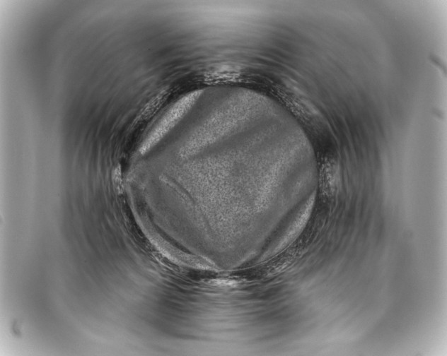 X0000098090224200804181244