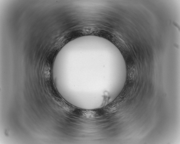 X0000098090226200804181244