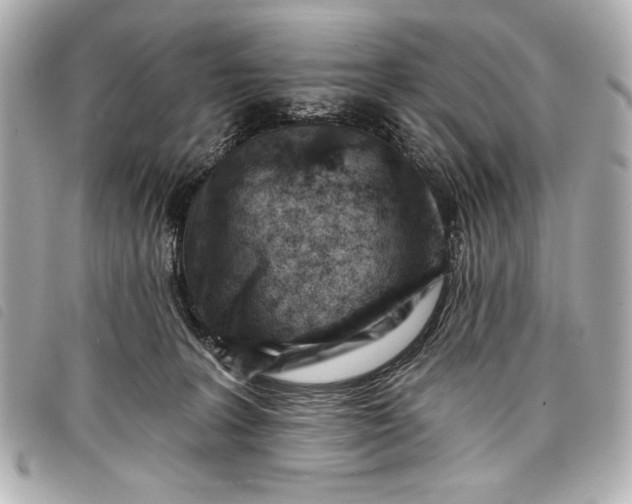 X0000098090227200804181244