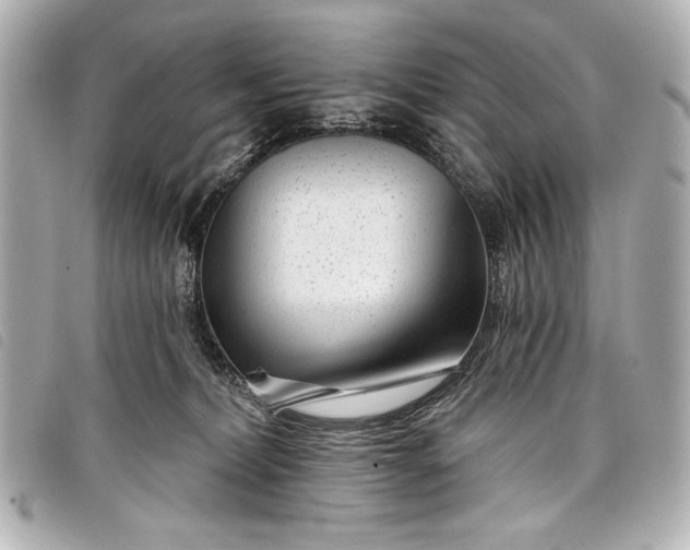 X0000098090228200804181244