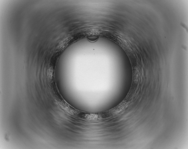 X0000098090230200804181244