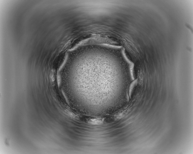 X0000098090232200804181244